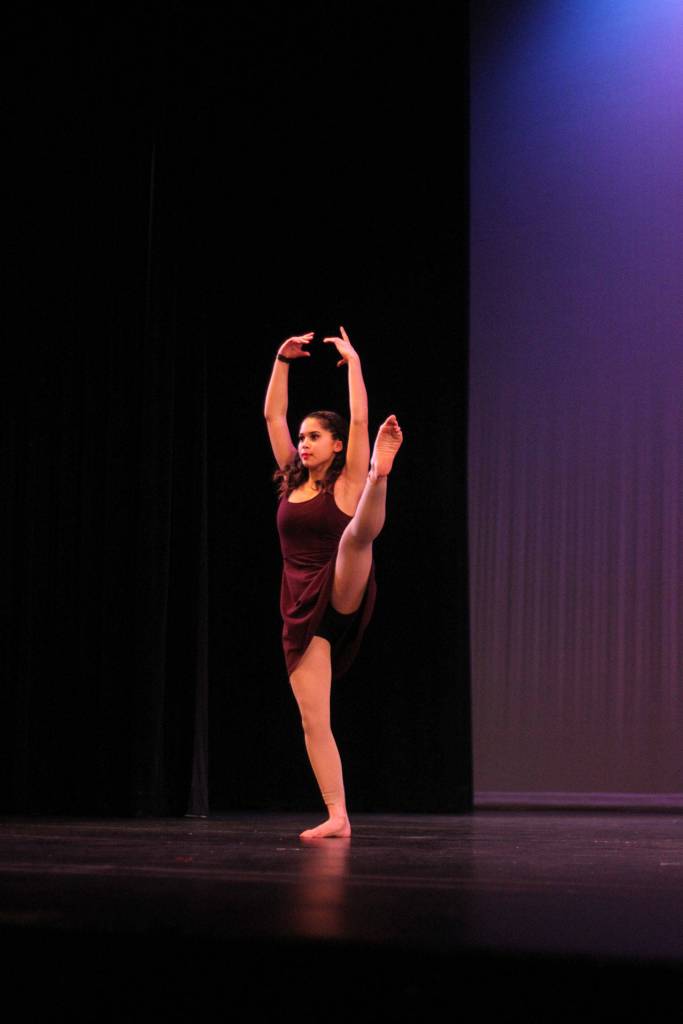 RHS Multicultural Show 2017 | GALLERY
