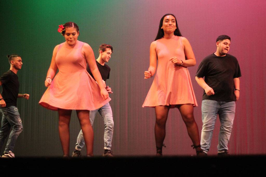 RHS Multicultural Show 2017 | GALLERY