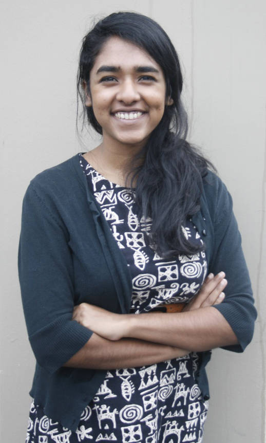 Lessons covering city council