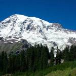 Expect traffic delays near Mount Rainier entrance