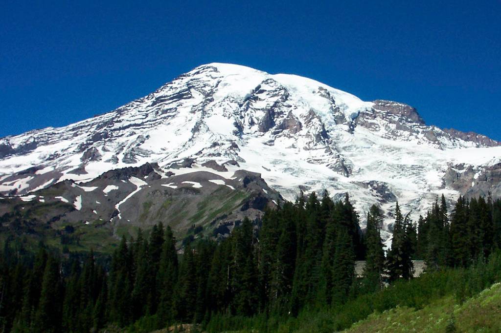 Expect traffic delays near Mount Rainier entrance