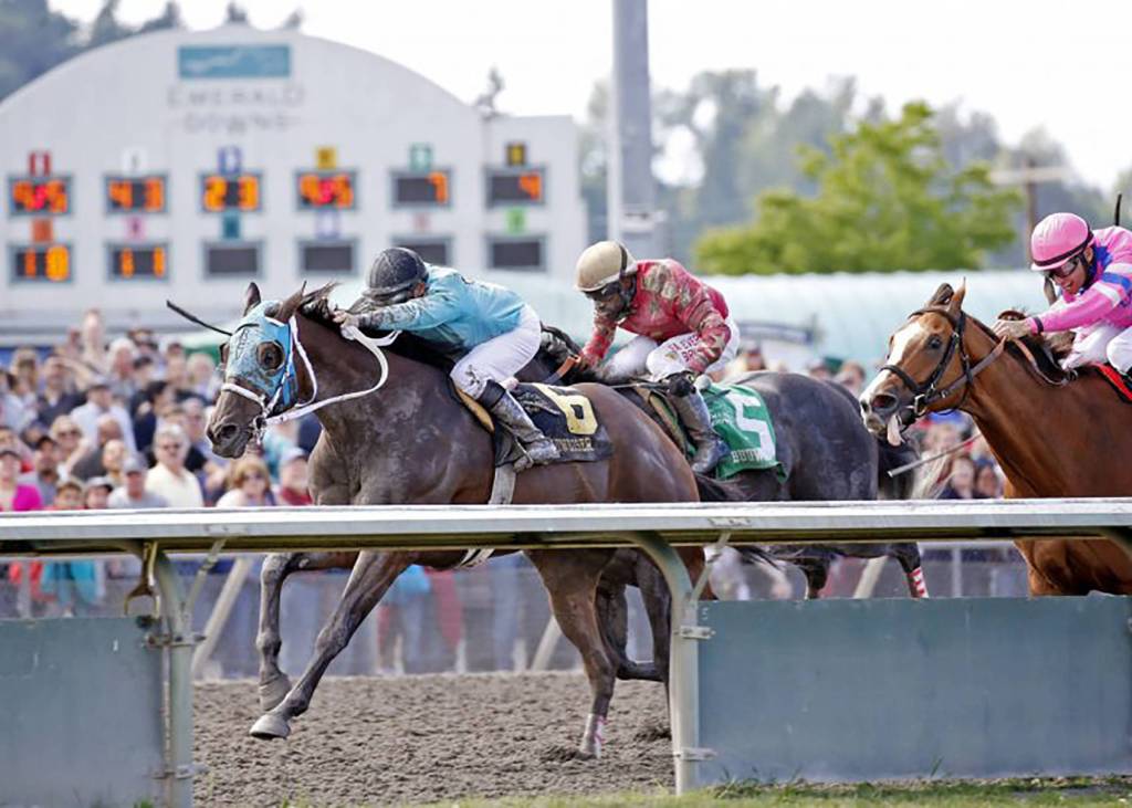 Mach One Rules in the Budweiser Stakes | Emerald Downs