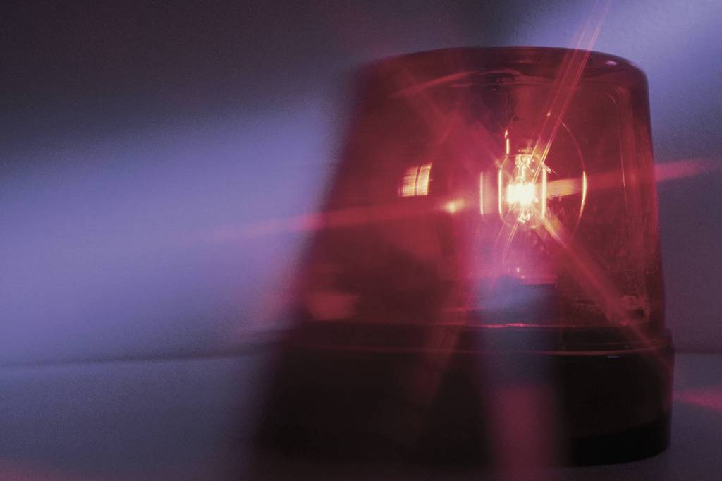 Attempted shoplifting|Police Blotter