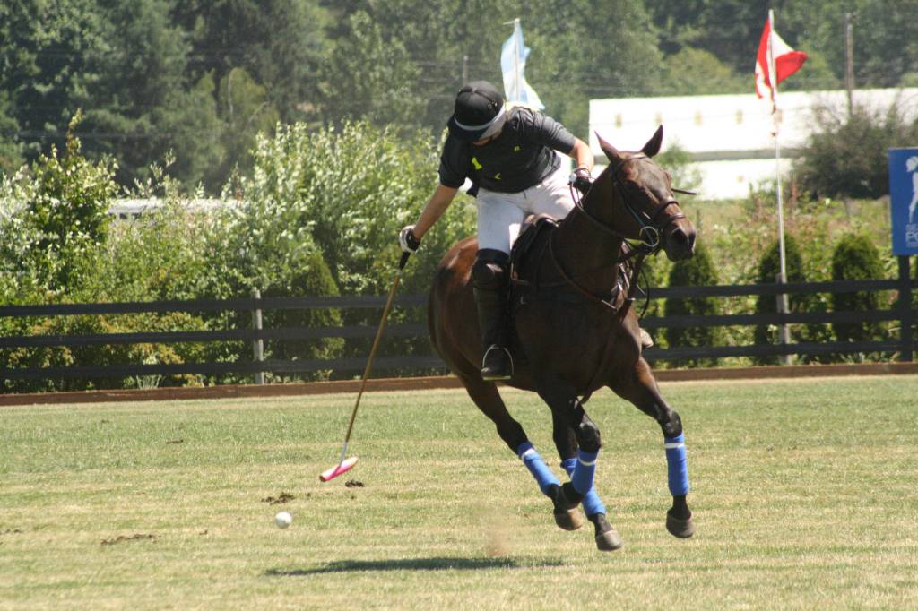 Pacific Northwest Governor’s Cup polo tournament|Gallery