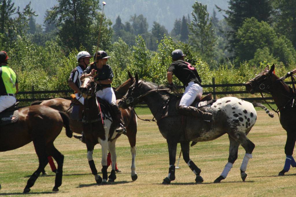 Pacific Northwest Governor’s Cup polo tournament|Gallery
