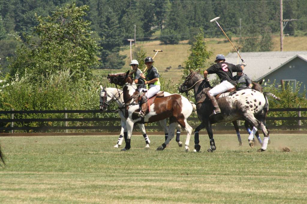 Pacific Northwest Governor’s Cup polo tournament|Gallery