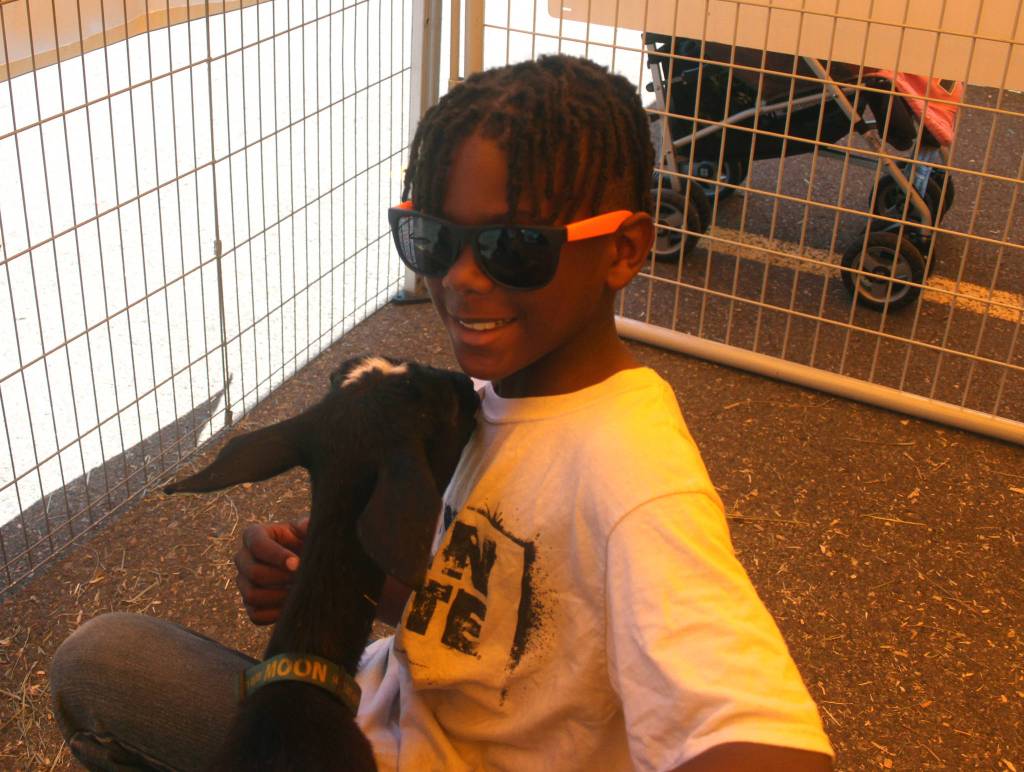 Covington Days 2017|Photo Gallery