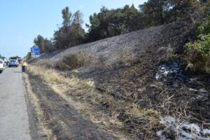 Fire danger remains high in Puget Sound region.                                Courtesy photo Puget Sound Regional Fire Authority