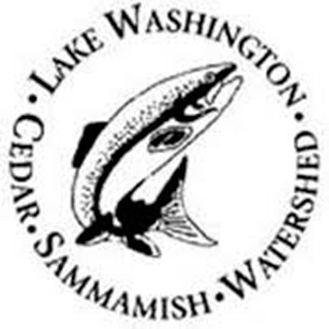 Grants help salmon habitat work, programs in Lake Washington-Cedar-Sammamish watershed
