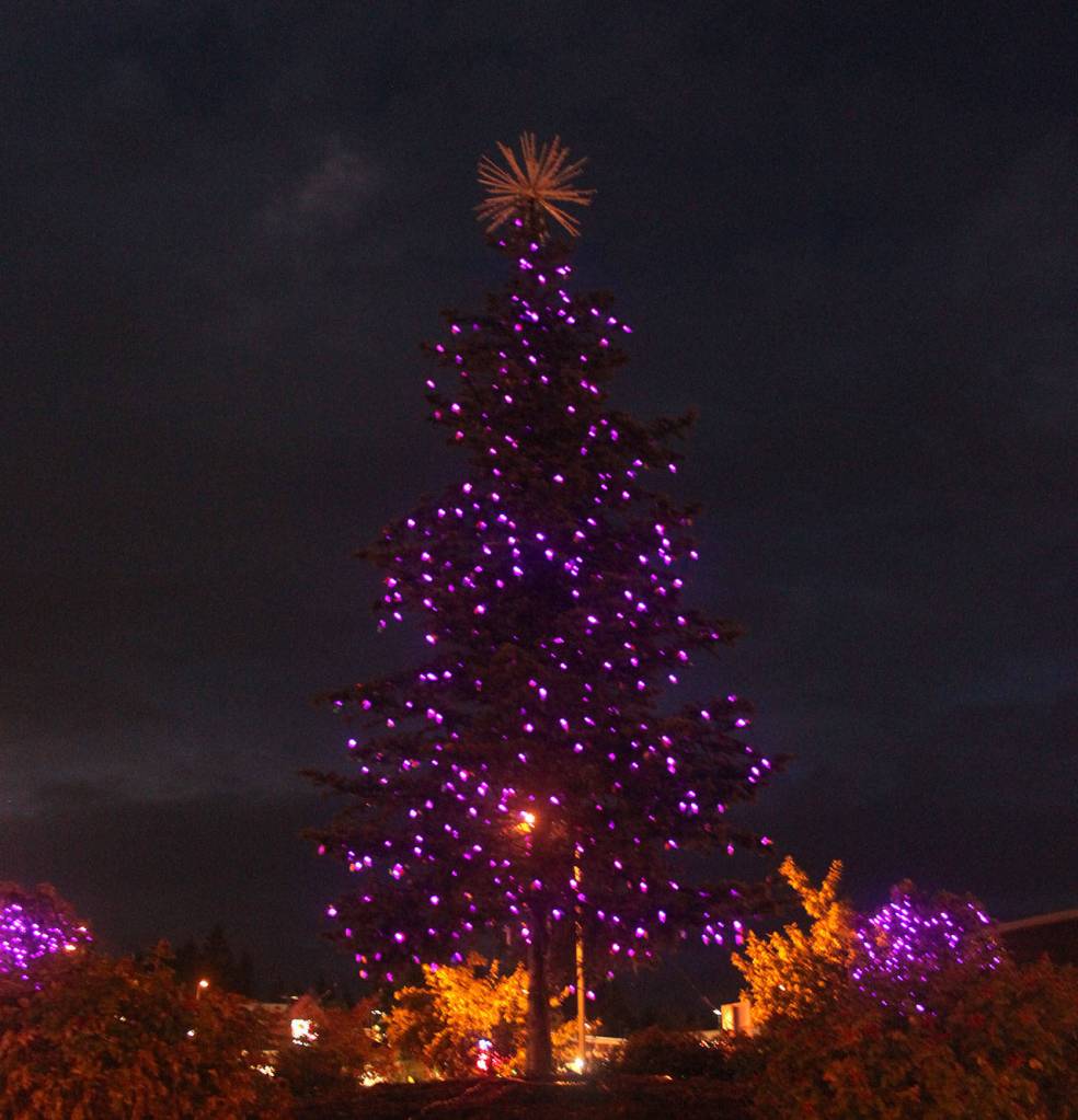 Domestic Violence Awareness month begins with 11th annual Purple Light Night
