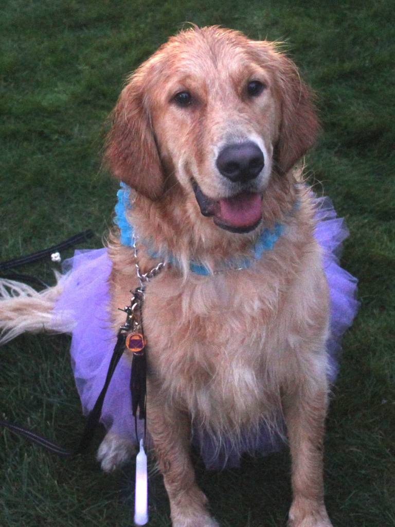 Domestic Violence Awareness month begins with 11th annual Purple Light Night