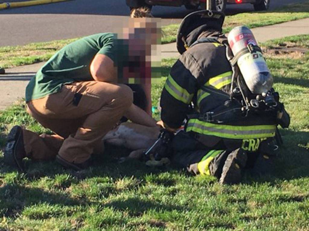 Maple Valley Fire and Life Safety responded to a 2-story house fire