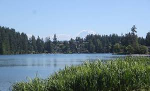 Algae caution signs posted at Lake Wilderness Park