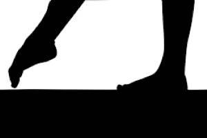 Kentlake, Tahoma girls gymnastics results