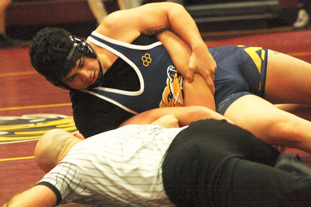 Bears take down two schools