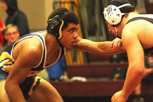 Bears take down two schools