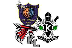 The top five best sport headlines from 2017