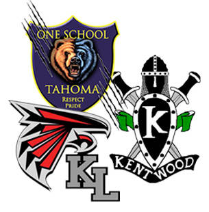 The top five best sport headlines from 2017