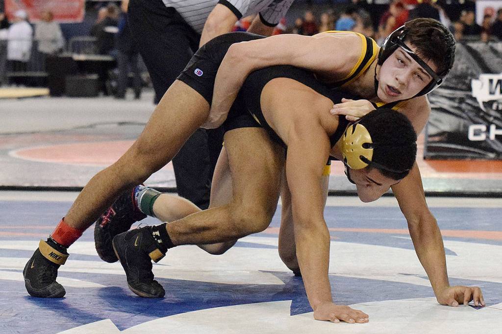 Steele Starren, a freshman from Tahoma wrestles Terrell Sanders from University High School, and wins the championship fro his 126 weight class. Photo by Rachel Ciampi