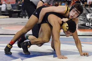 Steele Starren, a freshman from Tahoma wrestles Terrell Sanders from University High School, and wins the championship fro his 126 weight class. Photo by Rachel Ciampi