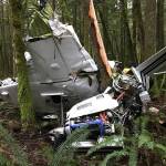 A homeowner near where the plane crashed was able to point first responders in the right direction. Submitted photo