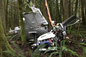 A homeowner near where the plane crashed was able to point first responders in the right direction. Submitted photo