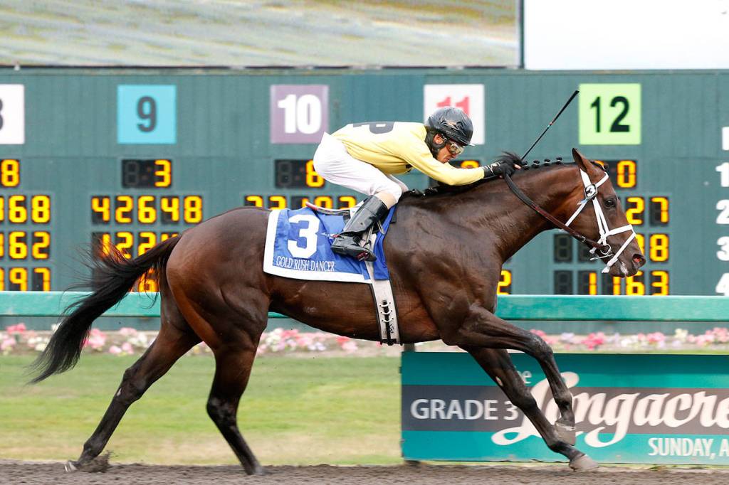 Gold Rush Dancer won last years Longacre Mile by four and three-quarter lengths, beating out Mach One Rules. Photo Courtesy of Phil Ziegier