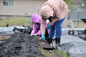 Photo by Leah Abraham