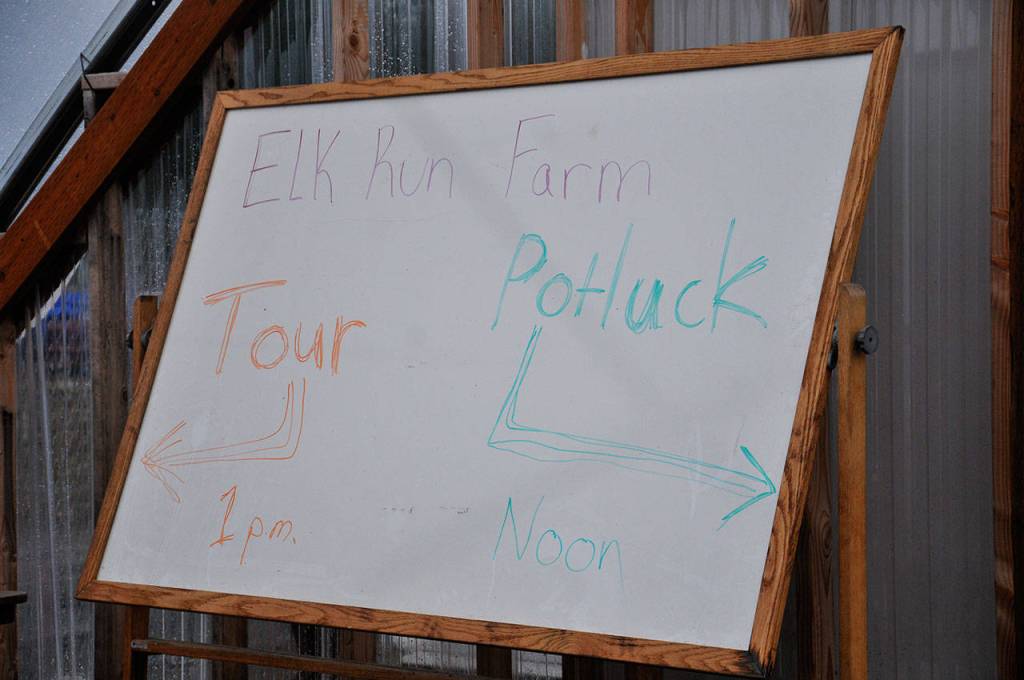 Photo by Leah Abraham