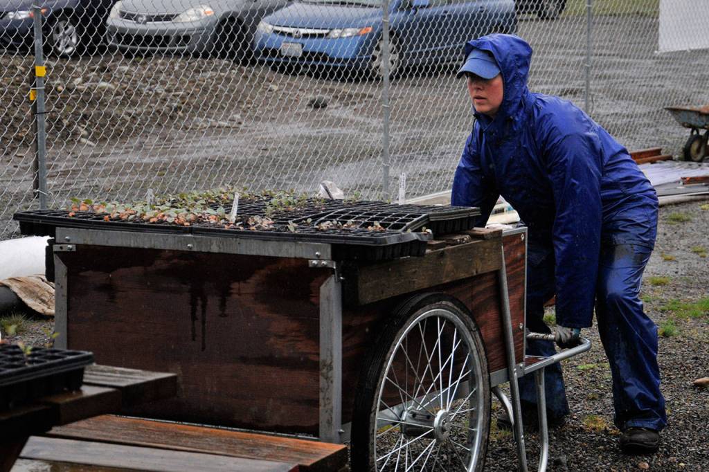 Photo by Leah Abraham