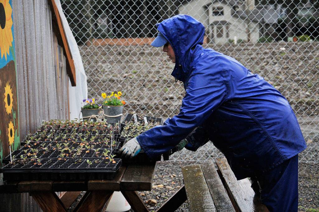 Photo by Leah Abraham