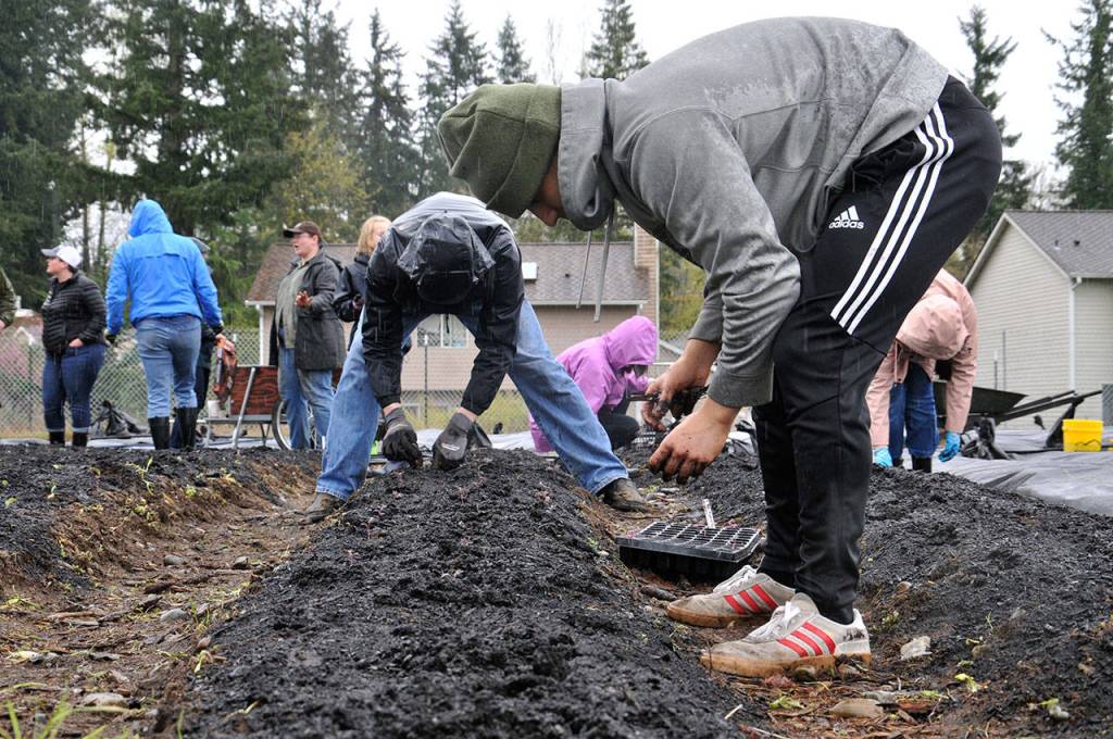 Photo by Leah Abraham