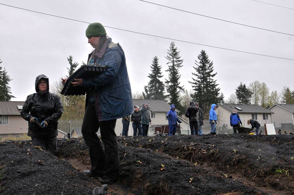 Photo by Leah Abraham