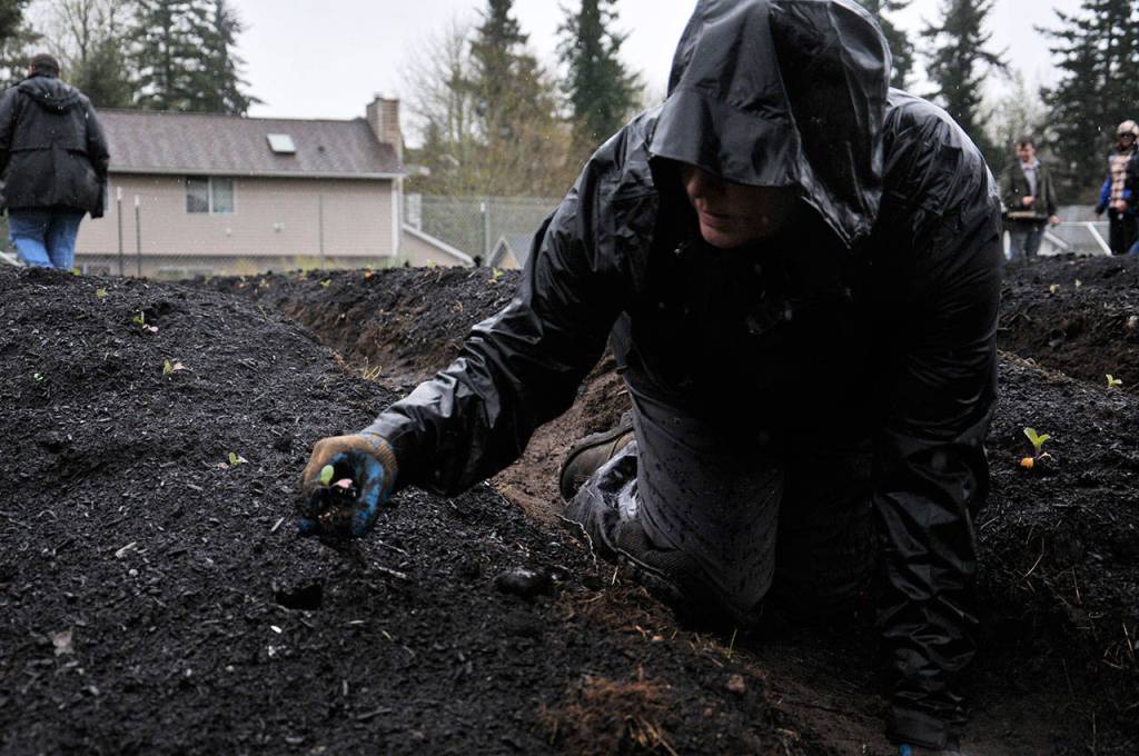 Photo by Leah Abraham