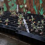 Photo by Leah Abraham