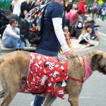 Photos by Kayse Angel