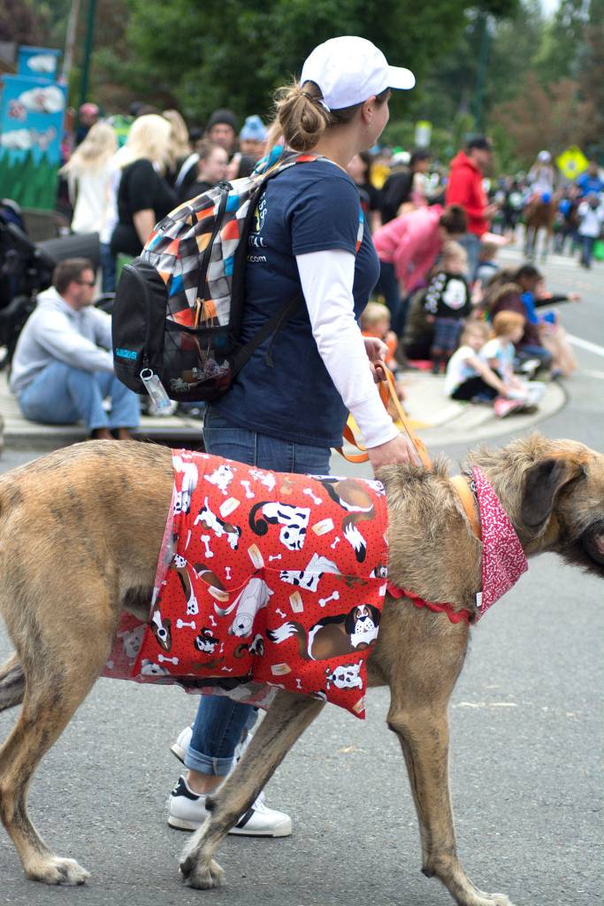 Photos by Kayse Angel