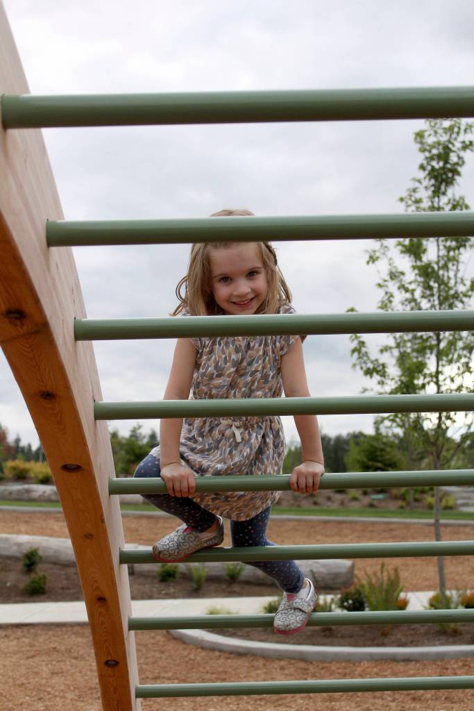 Black Diamond Backyard BBQ