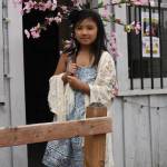 Photos by Ray Miller-Still