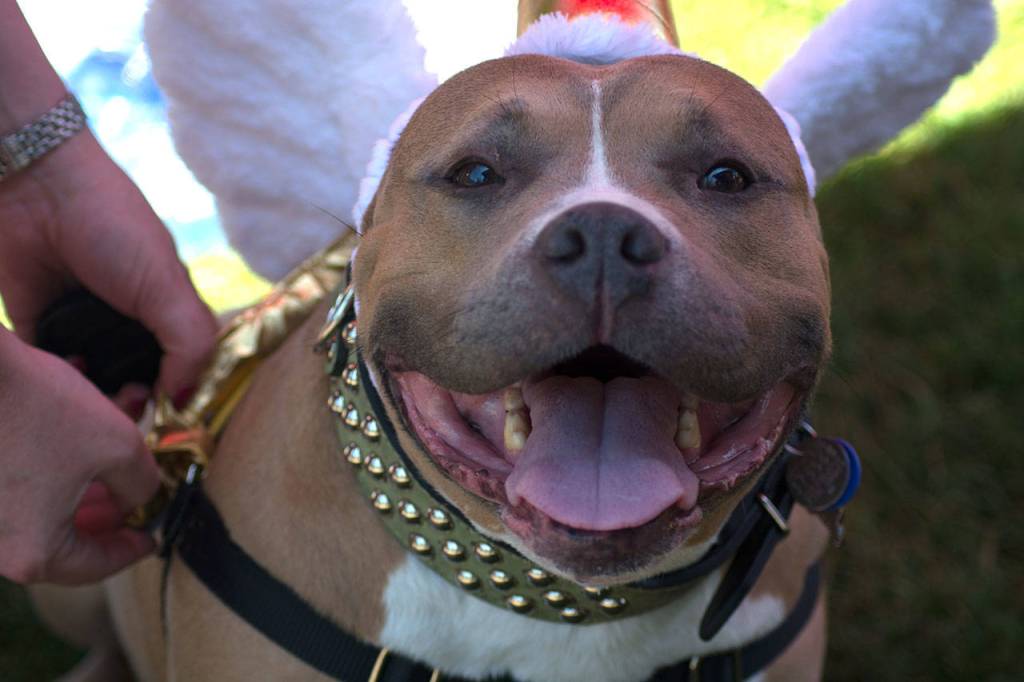 Photos by Kayse Angel