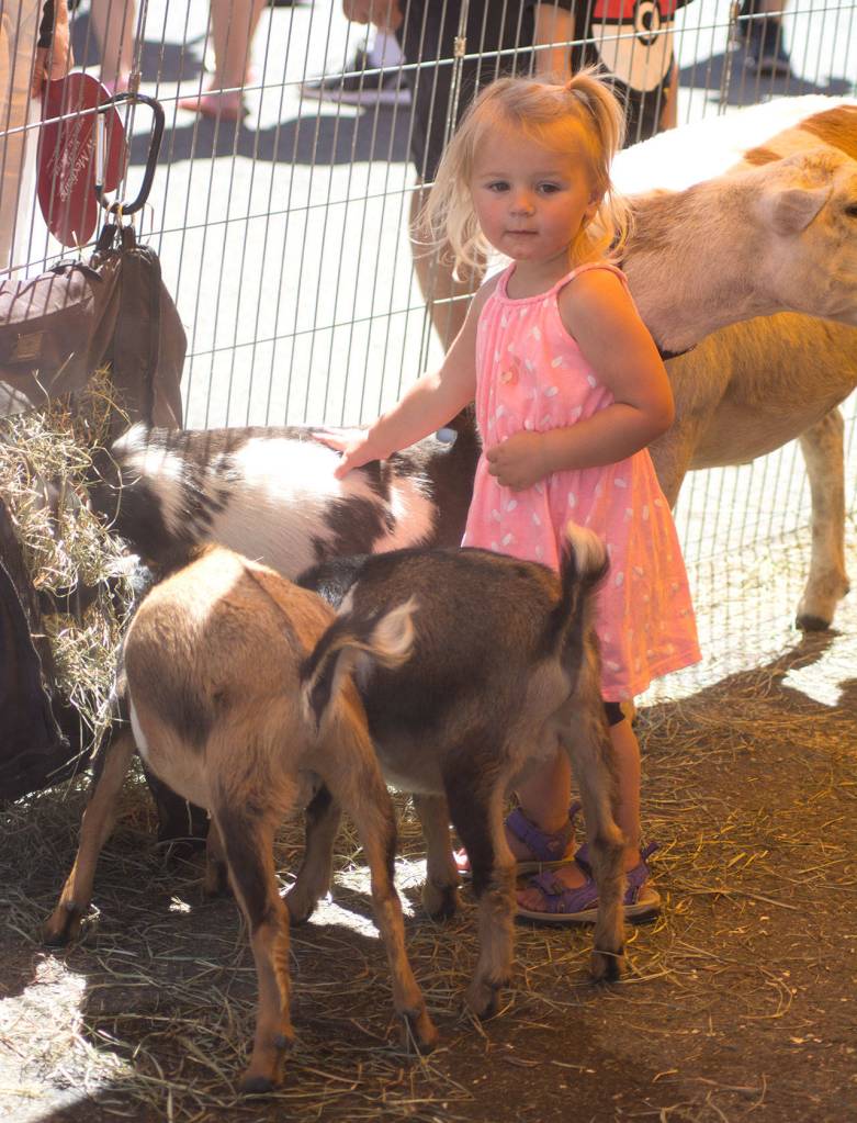 Photos by Kayse Angel