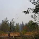 Photos courtesy the Puget Sound Regional Fire Authority.