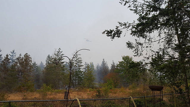 Photos courtesy the Puget Sound Regional Fire Authority.