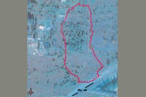 This map shows the area where the brush fire was burning near the Southeast 256th Street exit on state Route 18. Map courtesy of Puget Sound Regional Fire Authority