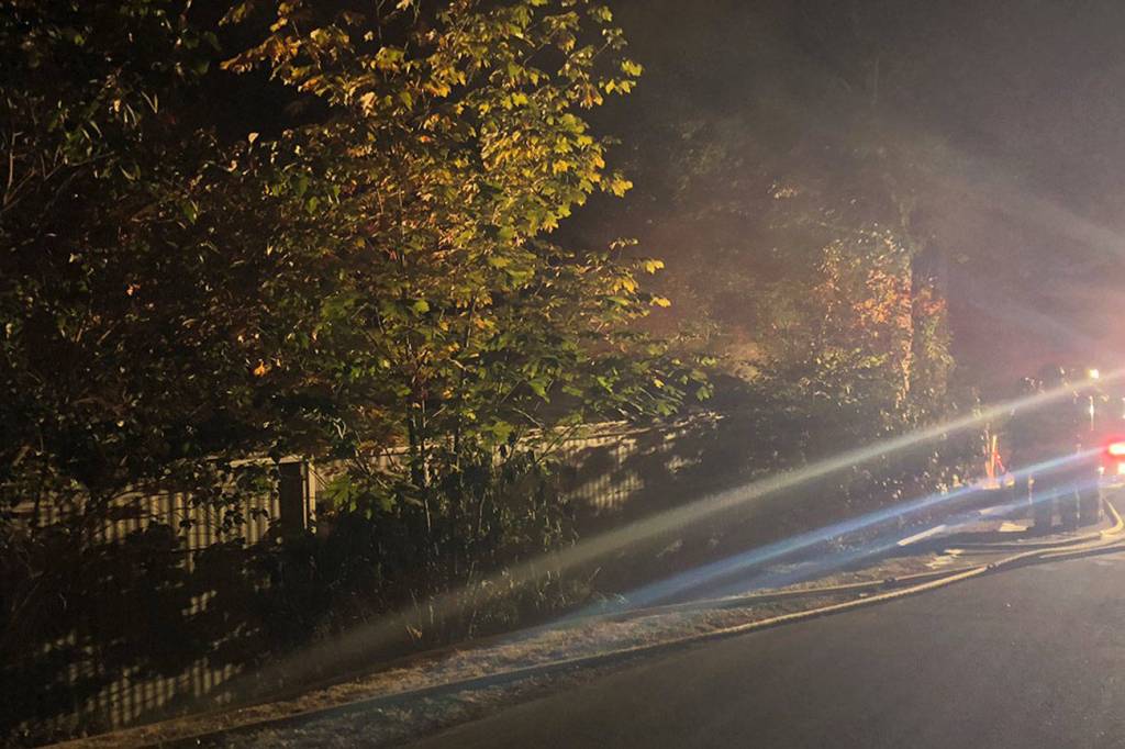 Body found in house fire