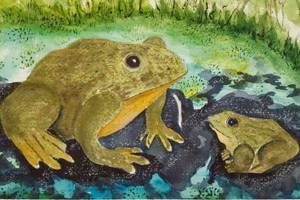 An example of Nancy Ziegler water color paintings. Submitted photo.