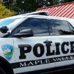 Council OKs police substation