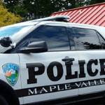 Council OKs police substation