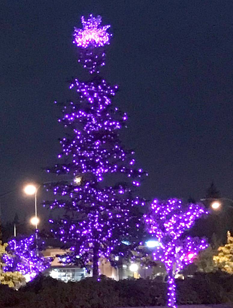 Photos by Kayse Angel