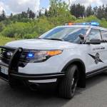 WSP has investigated eight traffic related deaths in seven days in King County